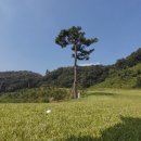 이글몬트cc 이미지