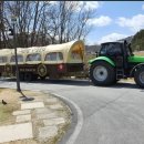 하늘애견 이미지