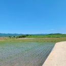 씨엘블루펜션 이미지