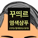 꾸띄르 염색샴푸, 조혜련 샴푸, 새치 염색 홈쇼핑 샴푸 (사용법 및 가격대 등)