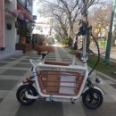 제주전동놀이터