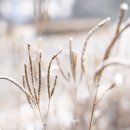 장자호수공원 생태체험관 이미지