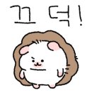 럭키환경