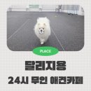 24시카복지매장 | 부천 애견카페 24시 무인이용 가능한 달리지용 새벽방문 후기