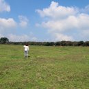 정우성목장 이미지