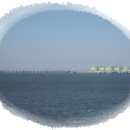 대부도바지락칼국수 Daum카페