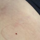 새보람약국 이미지