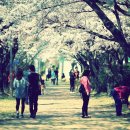 창원대로 이미지