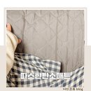 대성 | 카본 탄소매트 전자파없는 전기매트 단점 대성쎌틱 후기