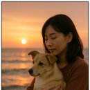 연기장례식장 | 포항반려동물장례식장, 조용한 작별 속에 머무는 따뜻한 마음