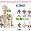 이유휘트니스 이미지
