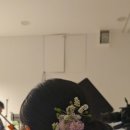 하라고헤어 네이버블로그