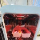 아이사랑키즈풀빌라 이미지