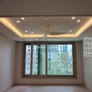 전구총판조명
