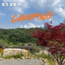 양평 신상 캠핑장 스테이고가수 l 초록초록한 자연 속 역대급 전세캠 솔직 후기