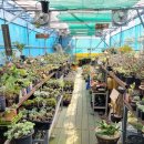 인수다육 이미지