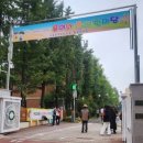 윤중초등학교 내 이미지