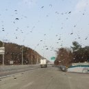 금성세차장 이미지