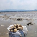 갯벌생태 체험장 이미지