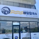 향이네김밥 | [포항 흥해 초곡 맛집] 진한 바다 향 가득! '배말칼국수김밥 포항북구점' 내돈내산 솔직후기 🦪🥢