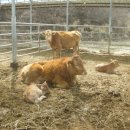 가래울농장 이미지