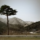 신흥사 이미지