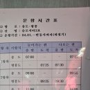 신안 병풍도 맨드라미 이미지