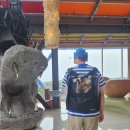 월드애견 | 🌧️ "강릉 왔는데 비라니..." 했는데, 오히려 대만족! 애견동반 하슬라아트월드 후기🐶
