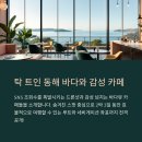 강원도 숨은 바다뷰 카페로드 2박3일 완벽 정복 가이드