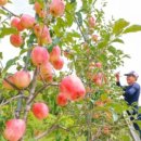 김종후농장 이미지