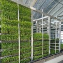 서구 자원봉사센터(5) 이미지