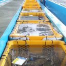 지베콘도 이미지