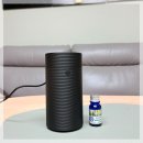 차량용방향제추천 피톤치드랑에코 차량가습기 피톤치드 아로마 디퓨저 사용 후기