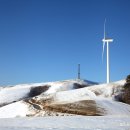 삼양목장 이미지