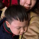 시민회관 | 26개월 아기 첫 뮤지컬｜부산 베베핀 <두근두근 새친구> 부산시민회관 B열 솔직후기