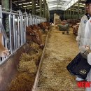 석교축산 이미지