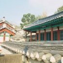 죽림 이미지
