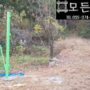 내석농장 이미지