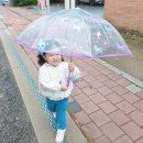 80006 | 아이들 비 오는 날을 기다리게 하는 캐치티니핑 오로라핑 장우산 47cm 내 돈 내산 후기