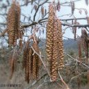 모래벌농장 이미지