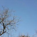 고운하늘의원 이미지