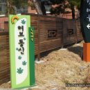 성모자애원 햇빛마을