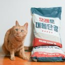 뉴트로연구소