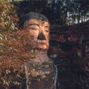 청두훠궈 이미지