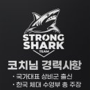 Team Shark 이미지