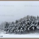 화지10리 이미지