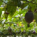 두리농장 이미지