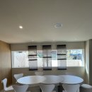 주식회사 반려동물 이미지