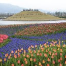 보성정원민박 이미지