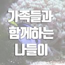 나비공간 이미지